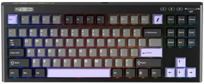 Клавиатура 1STPLAYER NEO87-MV-TLD