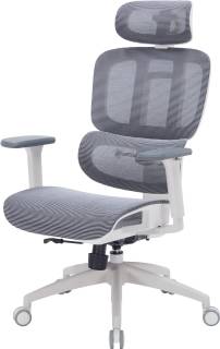 Кресло OfficePro OC680-W-DG-DG