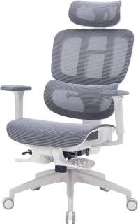 Кресло OfficePro OC750-W-DG-DG