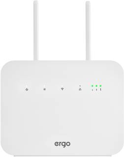 Сетевой маршрутизатор Ergo R291