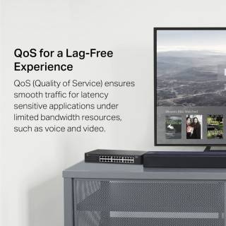 Сетевой коммутатор TP-Link LS1024G