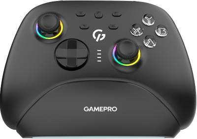 Игровой контроллер GamePro із зарядною станцією BT 5.3/USB/2.4 ГГц (Switch/PC GPX13BDOC