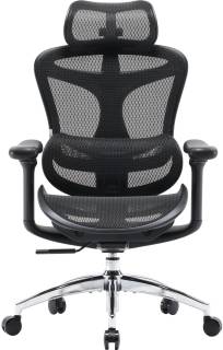 Кресла Sihoo DORO-C300L-A3-101