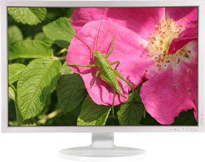 Монитор Nec MultiSync 3090WQXi LCD3090WQXi