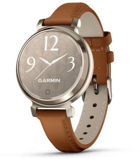 SmartWatch Garmin 010-02839-60
