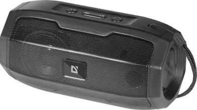 Акустическая система Defender G36 5Вт FM/microSD/USB Black 65036