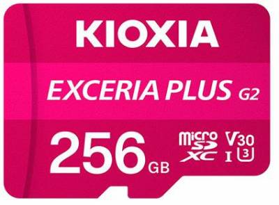 Карта памяти Kioxia LMPL2M256GG2
