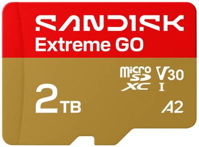 Флеш-карта SanDisk Extreme GO SDXC 2TB UHS-I V30 A2 SDSQXGN-2T00-GN6MN