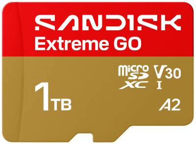 Карта памяти SanDisk Extreme GO SDXC 1TB UHS-I V30 A2 SDSQXGN-1T00-GN6MN