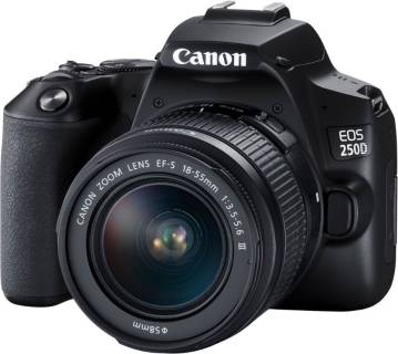 Фотоаппарат Canon EOS 250D 18-55 DC III Black kit 3454C009