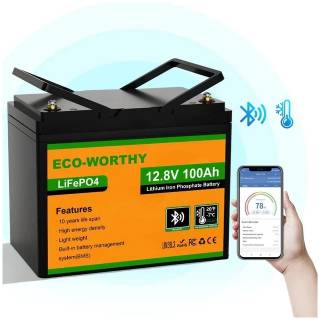 Аккумуляторная батарея Eco-Worthy 12.8V 100Ah LCD Eco-Worthy-12100bt