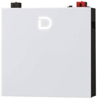 Аккумуляторная батарея Dyness DL5.0C Pro 51.2V - 100Ah