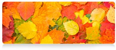 Игровая поверхность VOLTRONIC Autumn leaves FL372