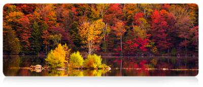 Игровая поверхность VOLTRONIC Autumn forest AT372