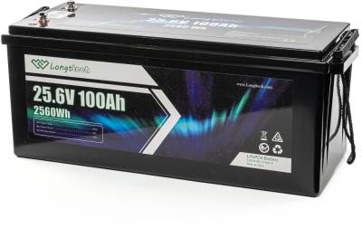 Аккумуляторная батарея Longttech 24V - 100Ah LAR24100-LT160-P