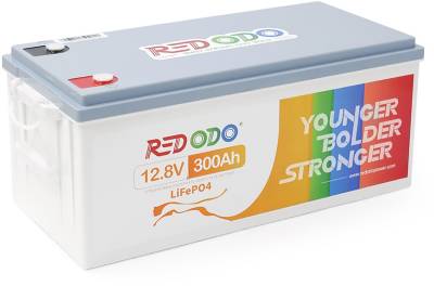 Аккумулятор Redodo R12V300-200-BASIC-4-A200