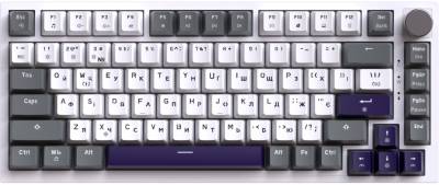 Клавиатура GamePro Genesis Warden MK160P Outemu Swithes USB White-Gre
