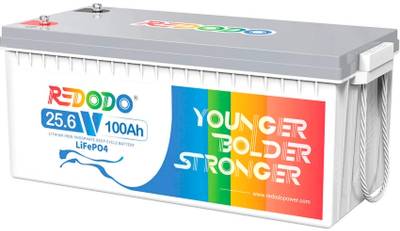 Аккумулятор Redodo 24V-100Ah Redodo-24V100Ah