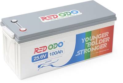 Аккумулятор Redodo R24V100-100-BASIC-8-A160N