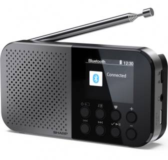 Акустика Sharp DR-P520 Grey DR-P520GY