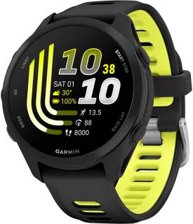 Часы Garmin 010-03920-50