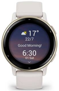 Часы Garmin 010-02862-5B