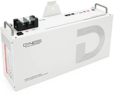 Аккумулятор Dyness DL2.5