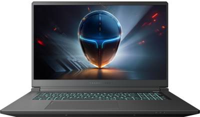 Ноутбук Thunderobot 911 X17 911X17-i7136H57E1Q165MBD