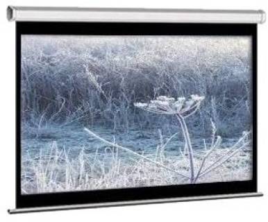 Проекционный экран Elite screens M135XWV2
