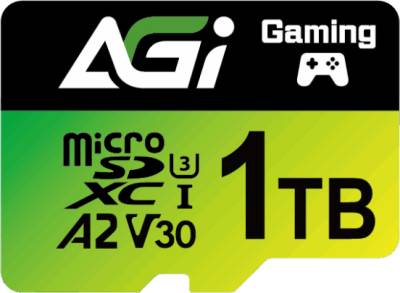 Флеш-карта AGI AGI1T0GGSTF138-R2
