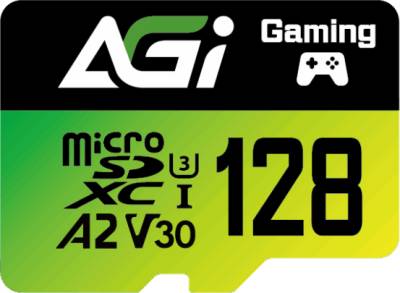 Флеш-карта AGI AGI128GSPTF138-R2