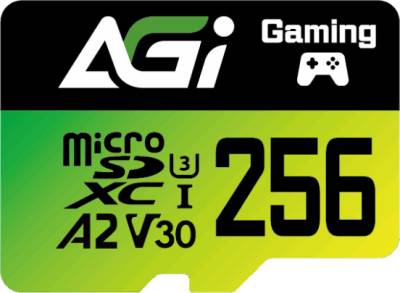 Флеш-карта AGI AGI256GSPTF138-R2