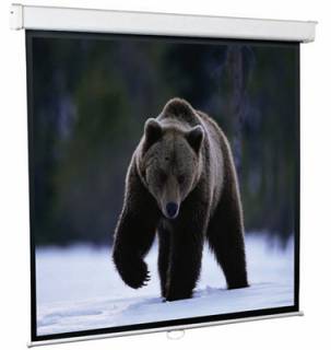 Проекционный экран Redleaf SGM-4302