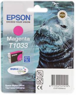 Картридж Epson C13T10334A10