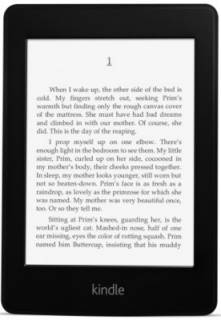 Электронная книга Amazon Kindle Paper