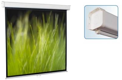 Проекционный экран Screenmedia Goldview SGM-4303