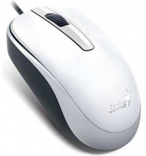 Мышка Genius DX-120 White USB 31010105102
