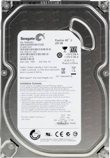 Внутренний HDD/SSD Seagate Video 3.5 HDD 250Gb 8Mb ST3250312CS