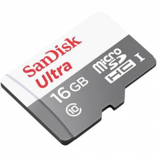 Карта памяти SanDisk Ultra microSDHC 16GB C10 no adapter SDSQUNS-016G-GN3MN