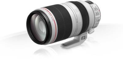 Объектив Сanon EF 100-400mm f/4.5-5.6L IS II USM 9524B005