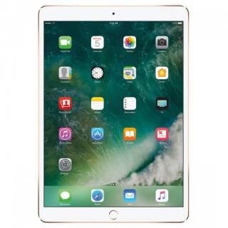 Планшет Apple A1709 iPad Pro 10.5 Wi-Fi 4G 64GB (2017) Gold MQF12RK/A