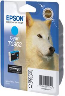 Картридж Epson C13T09624010