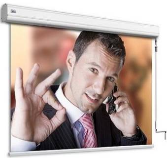 Проекционный экран Adeo Professional Vision White 263x197