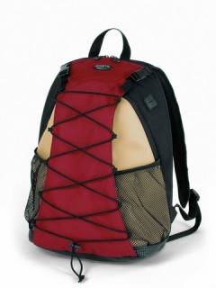 Dicota Actives BacPac Rain (Brown) N7198P Рюкзак
