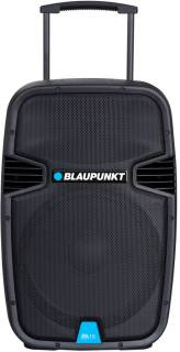 Акустическая система Blaupunkt PA15