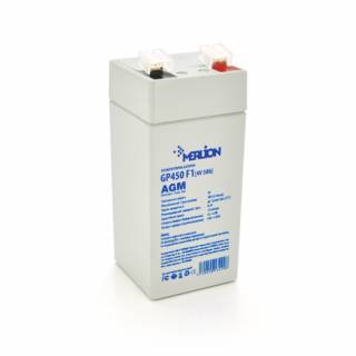 Аккумуляторная батарея Merlion 4V - 5 Ah (GP450F1)