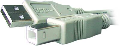 Кабель Gembird USB2-AMBM-6 CC-USB2-AMBM-6
