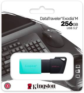 Флеш-память USB Kingston DataTraveler Exodia M 256GB Black/Teal USB 3.2 DTXM/256GB