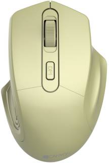 Мышка Canyon MW-15 Wireless Golden CNE-CMSW15GO