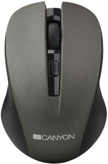 Мышка Canyon MW-1 Wireless Gray CNE-CMSW1G